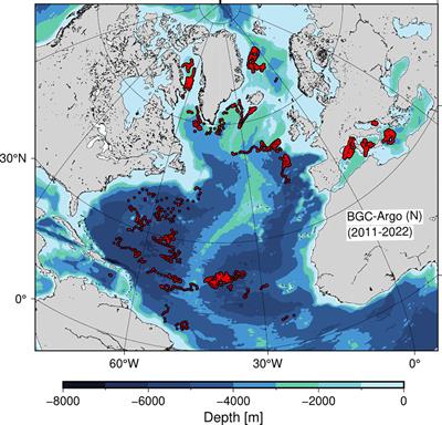 Primary production in the North Atlantic estimated from in situ water column data observed by Argo floats and remote sensing